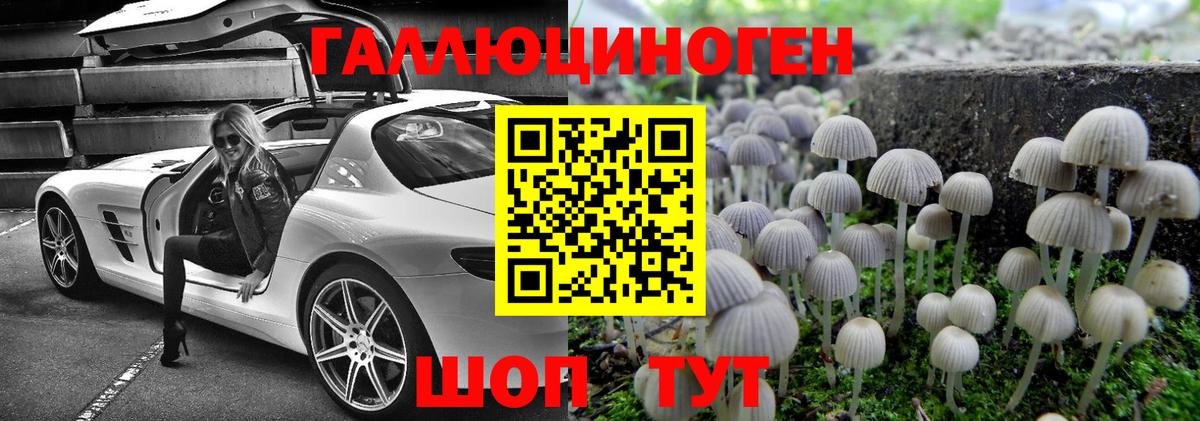 Усолье-Сибирское  Псилоцибиновые грибы MAGIC MUSHROOMS  Вход с VPN  Галлюциногенные грибы Psilocybe 