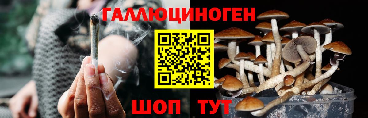 Галлюциногенные грибы прущие грибы Усолье-Сибирское
